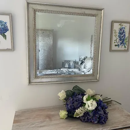 L'hortensia Bleu *